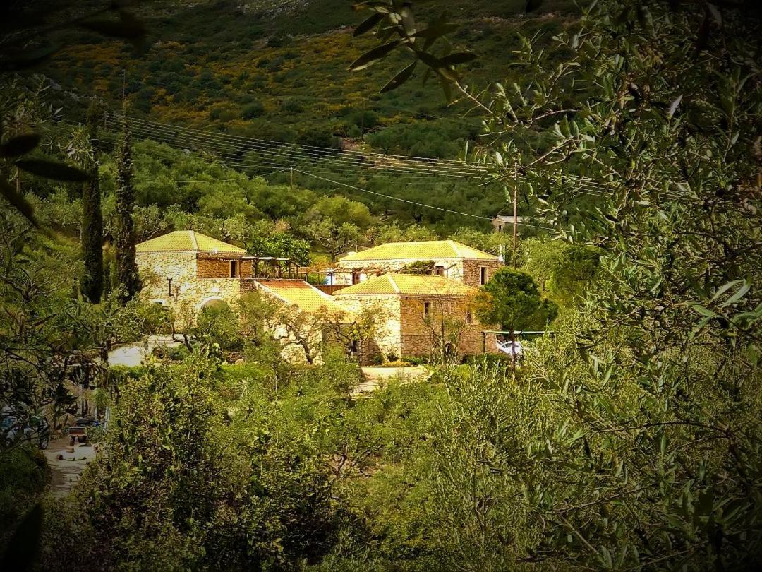 Tsivouli Accommodation Lithakia  Buitenkant foto